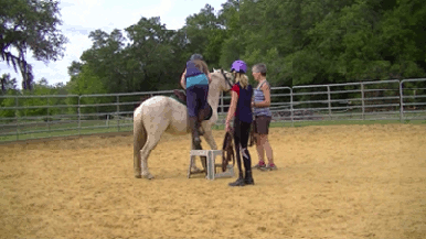 An animated gif of someone falling off a horse