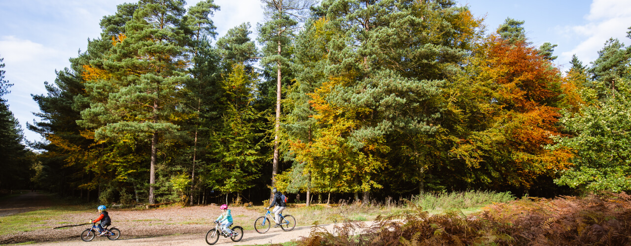 A family cycling in Thetford Forest