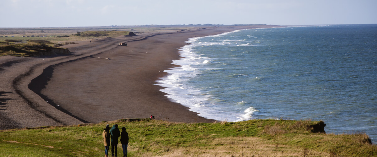 A beach in winter