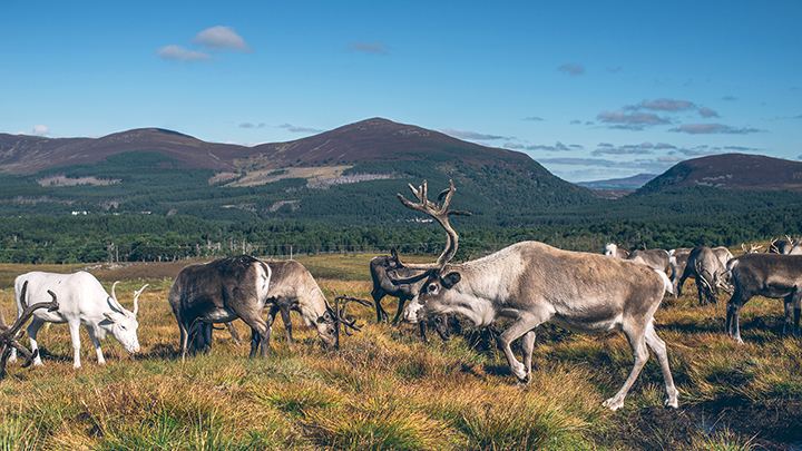 Self-catering holiday in Scotland