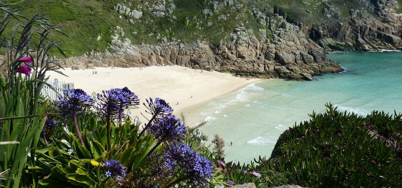Cornwall bay and flowers