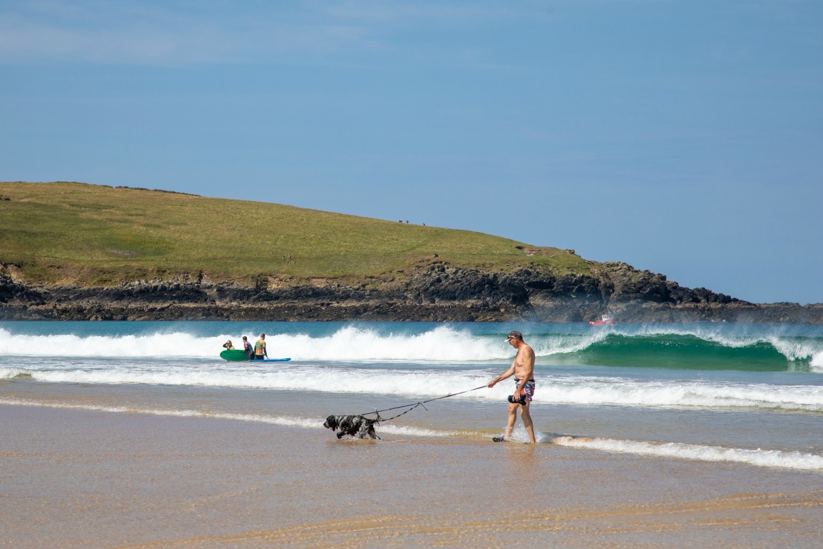 A dog-friendly beach in Cornwall
