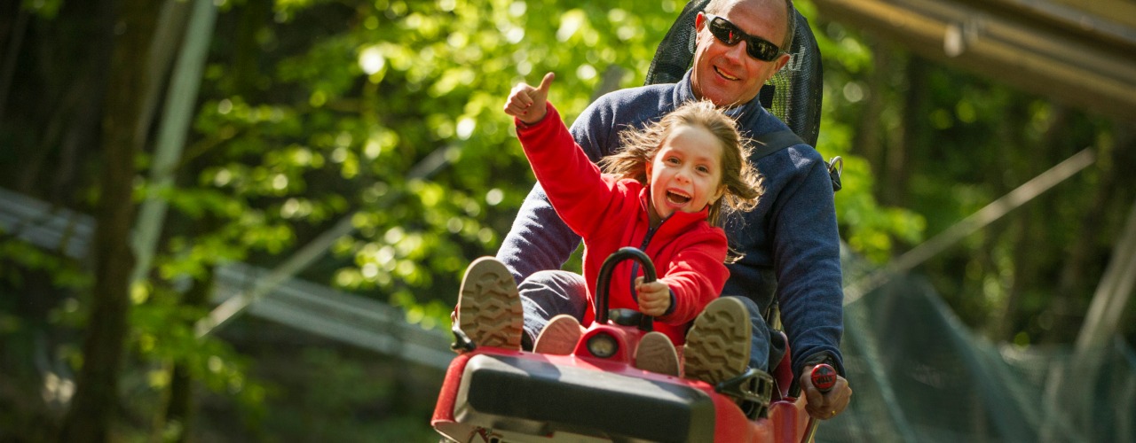 Fforest coaster fun