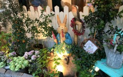 Beatrix Potter's Peter Rabbit