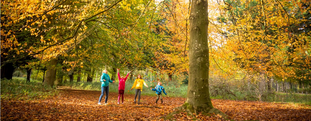 Children in Thetford Forest, Norfolk