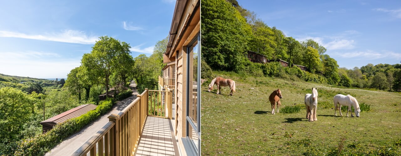 Devon Eco-Lodge Beach Holidays