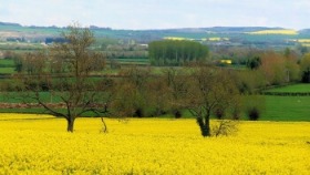 Cotswolds Hike