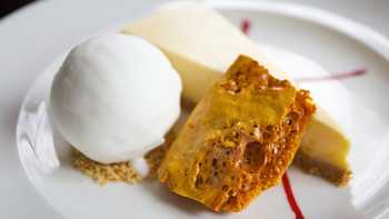 restaurant plate of ice cream honeycomb and cheesecake with a strawberry sauce