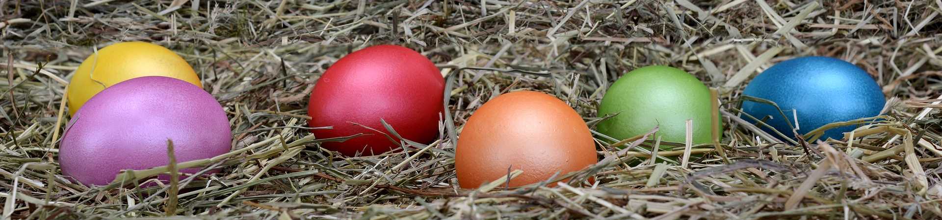 painted eggs on a bed of hay