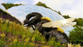 giant bee on hill next to bio dome at the eden project in cornwall