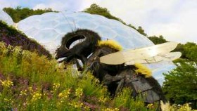 Eden Project Bee