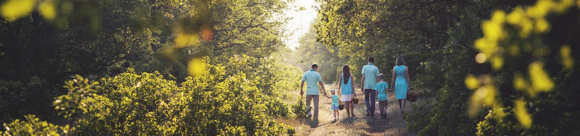 family holiday walking in the forest