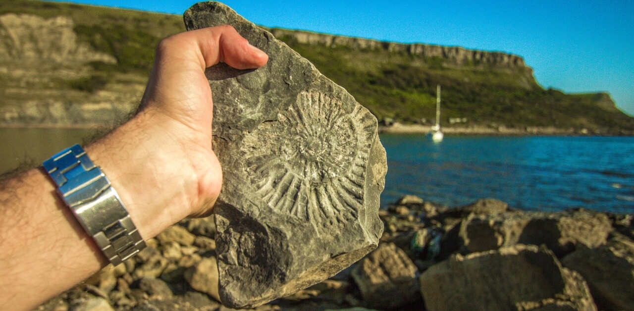 A man's hand holding up a fossil on a beach
