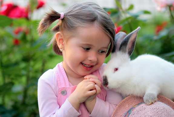 a young girl and her rabbit friend