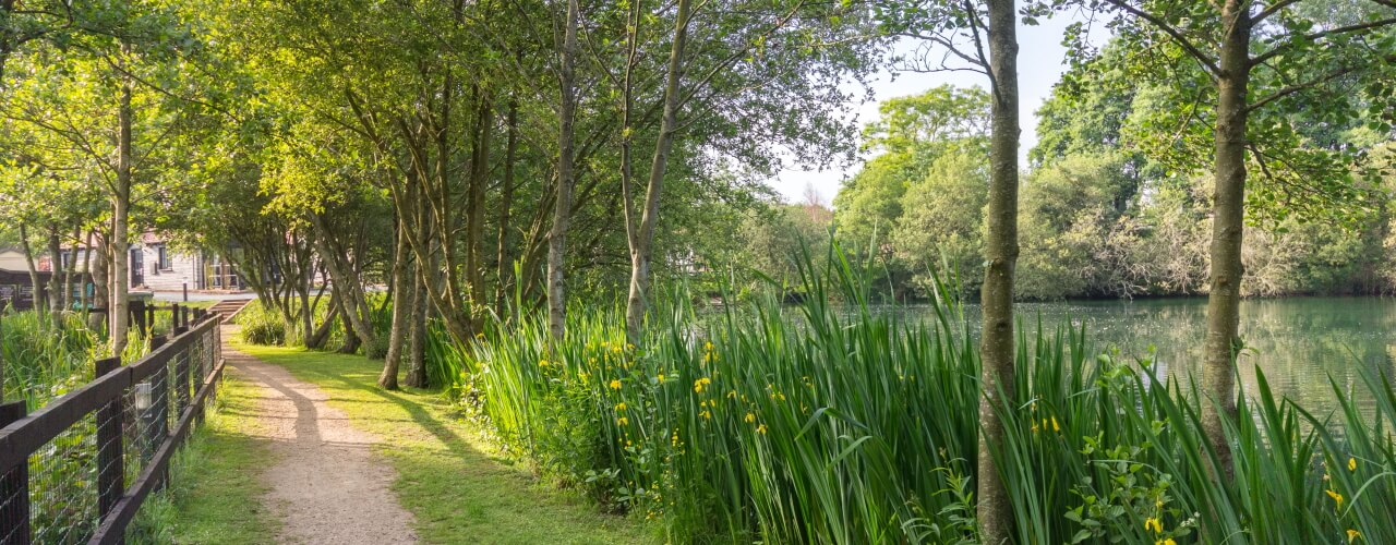 Isle of Wight Holiday Park scenery