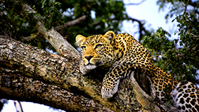 Wildlife Park & Gardens