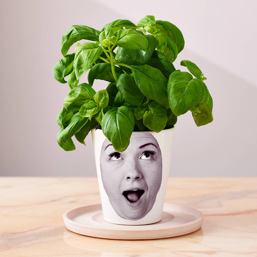 A plant growing out of a pot with a woman's face on it