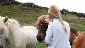 girl tending to shetland ponies