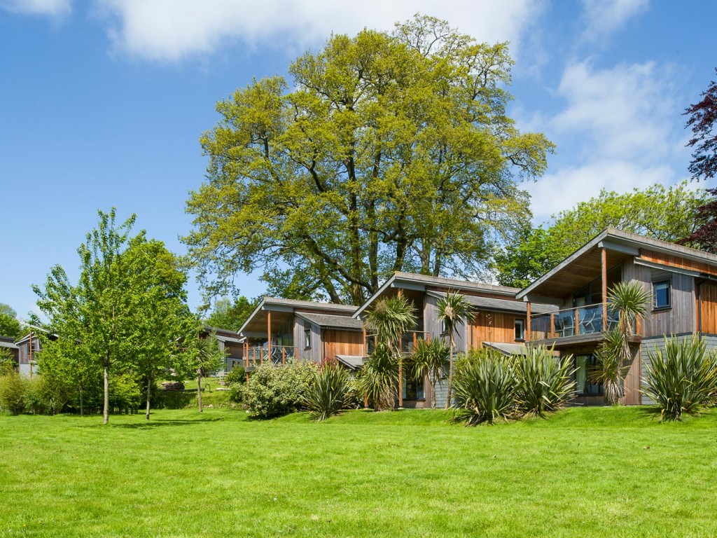 3 Bedroom Gold Woodland Lodge, nr St Austell, Cornwall
