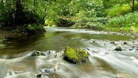 river swale current
