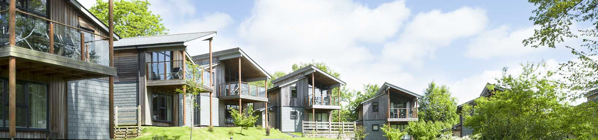 row of luxury woodland lodges in cornwall