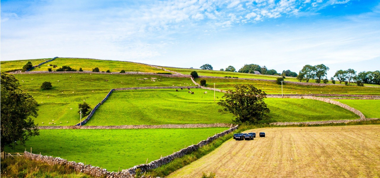 North Yorkshire countryside