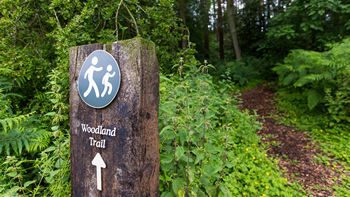 woodland walk sign post in the yorkshire dales